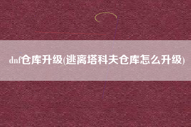dnf仓库升级(逃离塔科夫仓库怎么升级)
