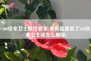 360安全卫士软件管家(系统盘里装了360安全卫士该怎么删除)