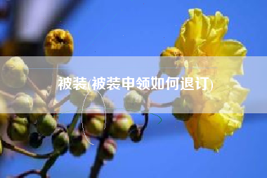 被装(被装申领如何退订)