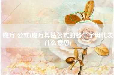 魔方 公式(魔方算法公式的各个字母代表什么意思)