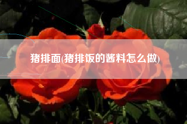 猪排面(猪排饭的酱料怎么做)