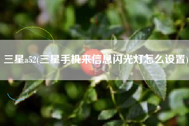 三星a52(三星手机来信息闪光灯怎么设置)