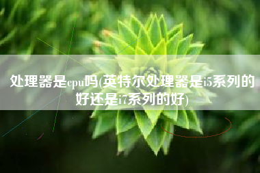 处理器是cpu吗(英特尔处理器是i5系列的好还是i7系列的好)