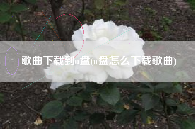 歌曲下载到u盘(u盘怎么下载歌曲)