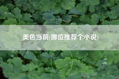 美色当前(哪位推荐个小说)