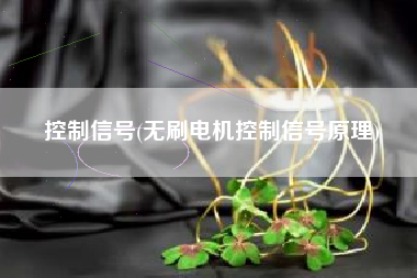 控制信号(无刷电机控制信号原理)