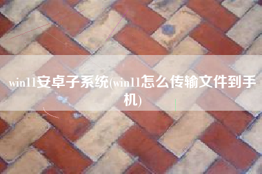 win11安卓子系统(win11怎么传输文件到手机)