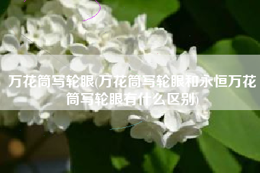 万花筒写轮眼(万花筒写轮眼和永恒万花筒写轮眼有什么区别)