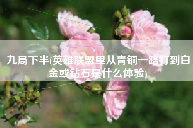 九局下半(英雄联盟里从青铜一路打到白金或钻石是什么体验)