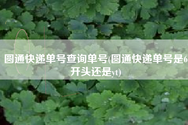 圆通快递单号查询单号(圆通快递单号是6开头还是yt)