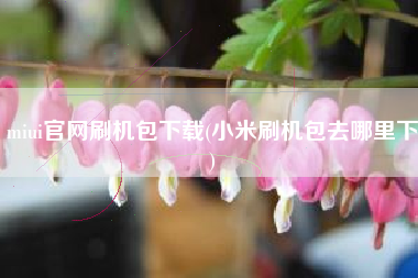miui官网刷机包下载(小米刷机包去哪里下)