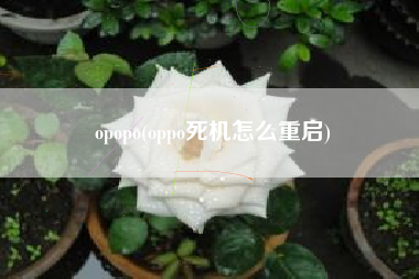 opopo(oppo死机怎么重启)