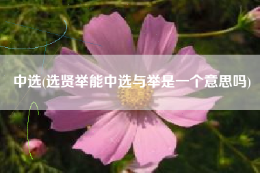中选(选贤举能中选与举是一个意思吗)