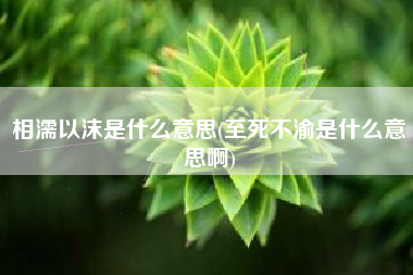 相濡以沫是什么意思(至死不渝是什么意思啊)