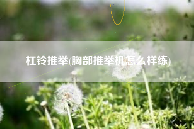 杠铃推举(胸部推举机怎么样练)