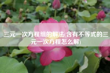 三元一次方程组的解法(含有不等式的三元一次方程怎么解)