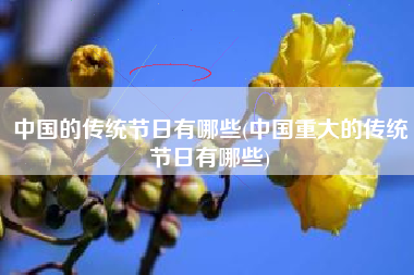 中国的传统节日有哪些(中国重大的传统节日有哪些)