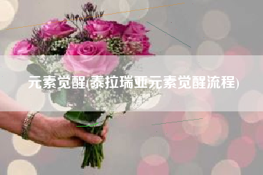 元素觉醒(泰拉瑞亚元素觉醒流程)