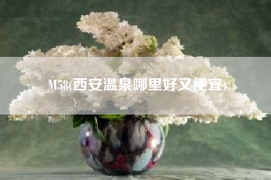M58(西安温泉哪里好又便宜)