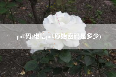 puk码(电信puk原始密码是多少)