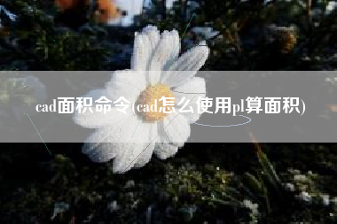 cad面积命令(cad怎么使用pl算面积)
