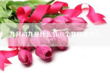 九月初九是什么节(17个节日是什么)