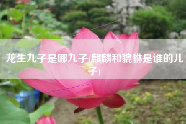 详细阅读:龙生九子是哪九子(麒麟和貔貅是谁的儿子) 龙生九子是哪九子(麒麟和貔貅是谁的儿子)
