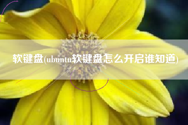 软键盘(ubuntu软键盘怎么开启谁知道)