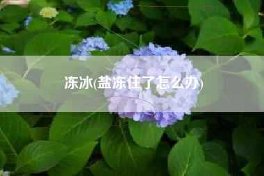冻冰(盐冻住了怎么办)