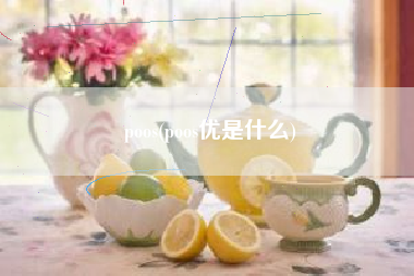poos(poos优是什么)