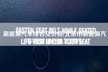 新能源汽车排名及价格(北京市新能源汽车销量排行是怎样的)