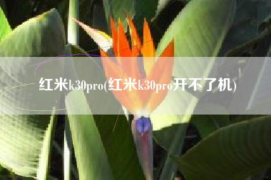 红米k30pro(红米k30pro开不了机)