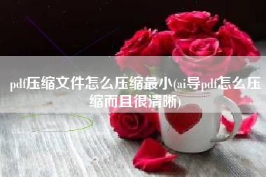 pdf压缩文件怎么压缩最小(ai导pdf怎么压缩而且很清晰)