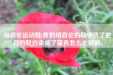 纽百伦运动鞋(我的纽百伦的鞋子洗了把白的鞋边染成了蓝色怎么去掉啊)