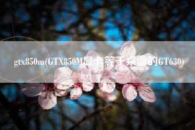 gtx850m(GTX850M显卡等于桌面的GT630)