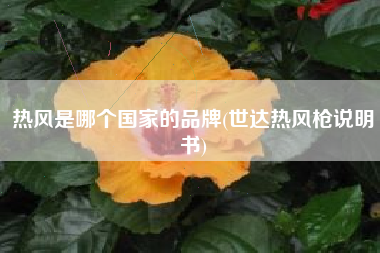热风是哪个国家的品牌(世达热风枪说明书)