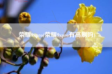 荣耀9xpro(荣耀9xpro有高刷吗)