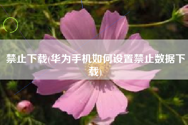 禁止下载(华为手机如何设置禁止数据下载)