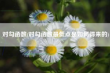 对勾函数(对勾函数最低点是如何得来的)
