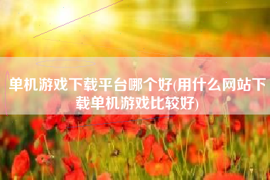 单机游戏下载平台哪个好(用什么网站下载单机游戏比较好)