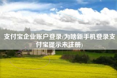 支付宝企业账户登录(为啥新手机登录支付宝提示未注册)