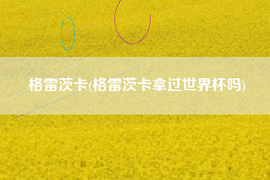 格雷茨卡(格雷茨卡拿过世界杯吗)