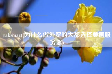raksmart(为什么做外贸的大都选择美国服务器)