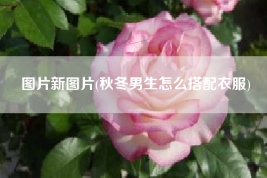 图片新图片(秋冬男生怎么搭配衣服)