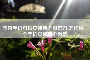 苹果手机可以安装两个微信吗(怎样给一个手机安装两个微信)