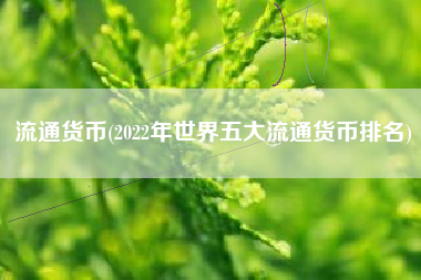 流通货币(2022年世界五大流通货币排名)