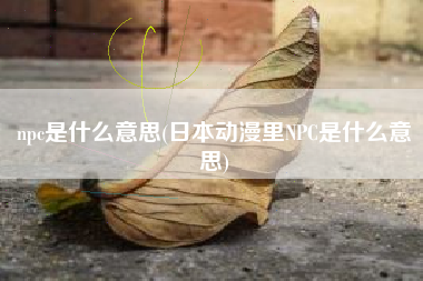 npc是什么意思(日本动漫里NPC是什么意思)