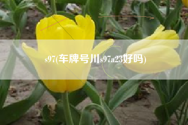 s97(车牌号川s97a23好吗)