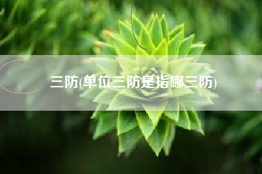 三防(单位三防是指哪三防)