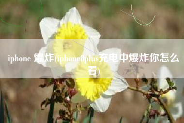 iphone 爆炸(iphone8plus充电中爆炸你怎么看)